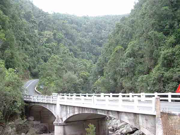 Indigenous forests