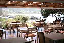 Milkwood manor Patio
