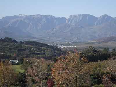  Winelands flights