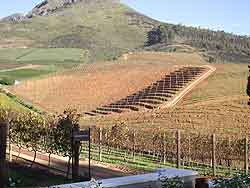 winelands