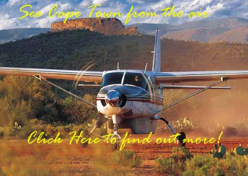  Tours in Cape Town