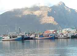  Hout Bay Harbour