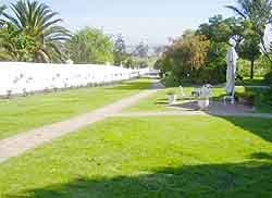  Wine lands tours