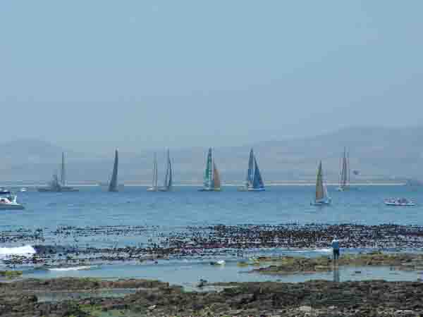 Yachts before the start