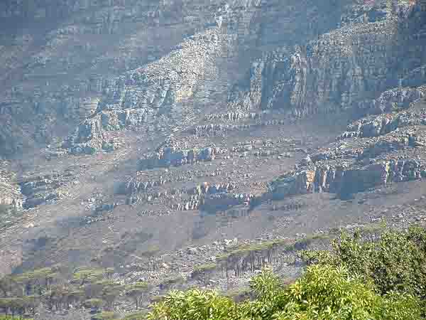 Table Mountain