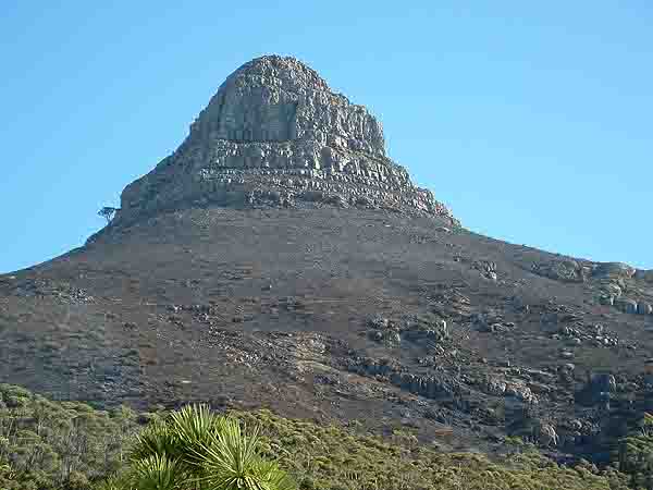 Lions Head