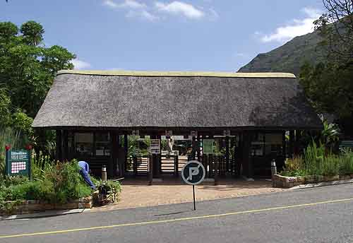Kirstenbosch Gardens Cape Town