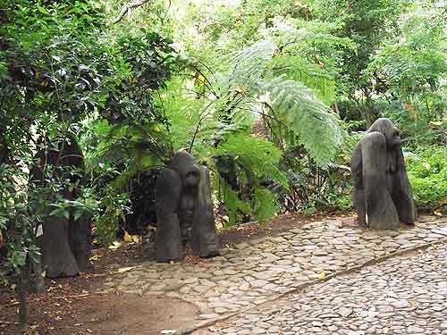  Kirstenbosch Gardens Cape Town