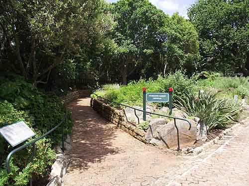  Kirstenbosch Gardens Cape Town