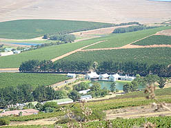 Cape Town tours