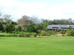 Cape Town tours
