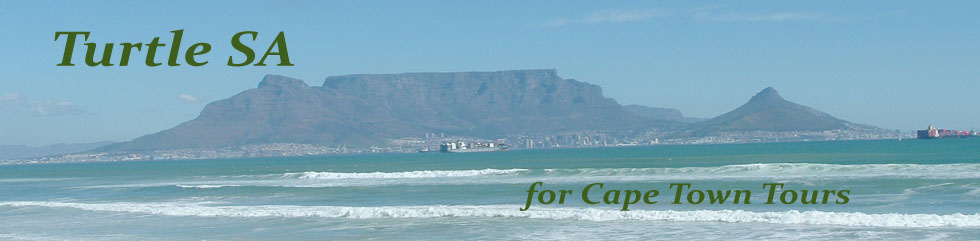 Cape Town tours