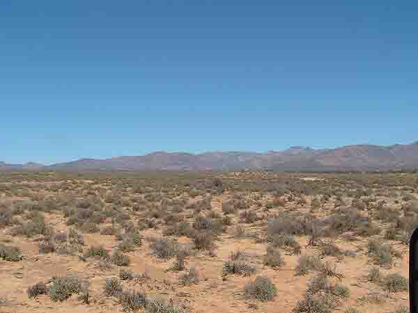   Karoo in summer