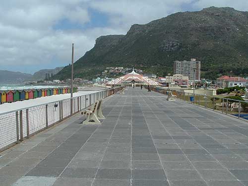  Tours in Cape Town